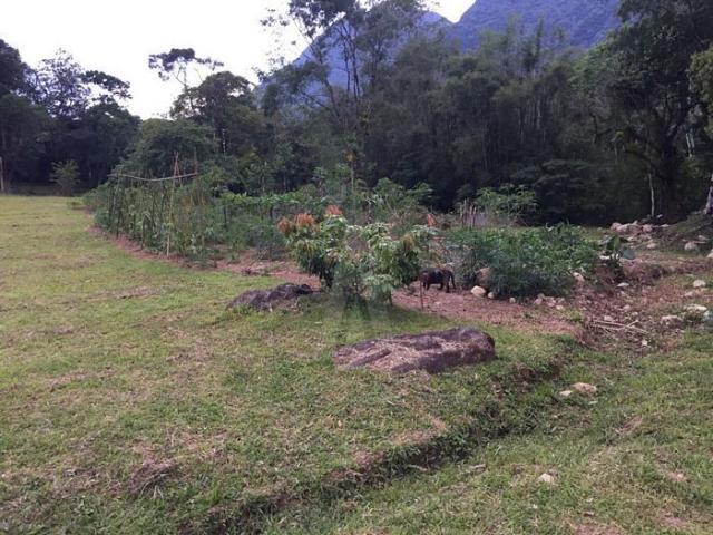 Chácara à venda em Pirabeiraba, Joinville cod:18298N - Foto 15