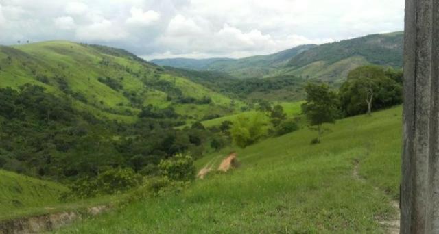 Propriedade em Joaquim Gomes - Foto 5