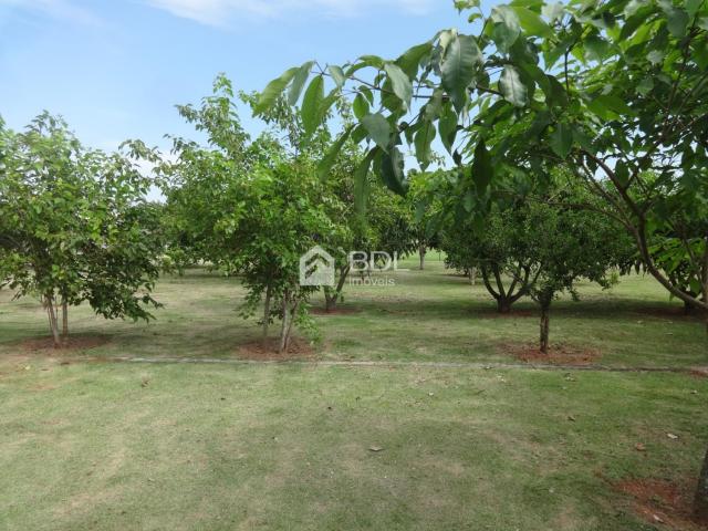 Terreno à venda com 0 dormitórios em Jardim flamboyant, Paulínia cod:TE002034 - Foto 14