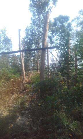 Terreno - Foto 2