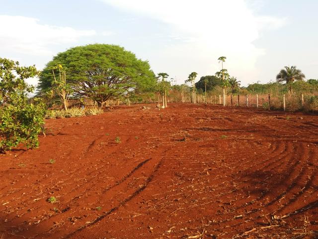 Chácara, Sítio, Terreno, aceito trocas - Foto 7