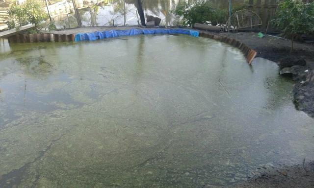 Chacara - Foto 16