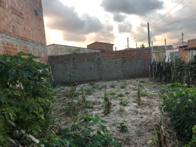Terreno top na praia de Peroba-AL 9.60x16.0 - Foto 8