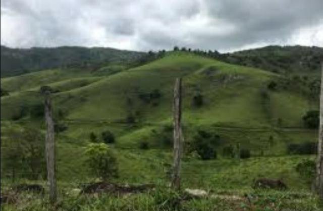 Propriedade em Joaquim Gomes