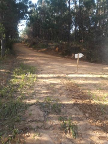 Chácara agudos do sul - Foto 3