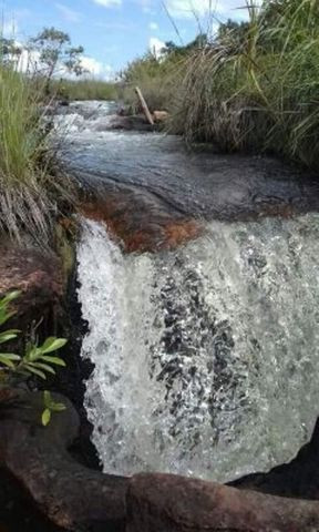 470 Alqs 70% Permuta Planta Todinha Barro Vermelho Ponte Alta TO - Foto 5
