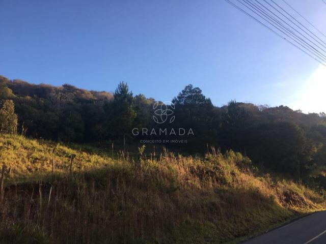 LINDA ÁREA DE TERRA NA LINHA ÁVILA - Foto 7