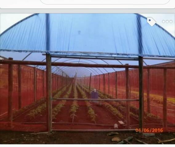 Sitio - Foto 5