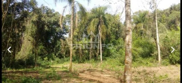 Sítio com rio e mata nativa - Foto 2