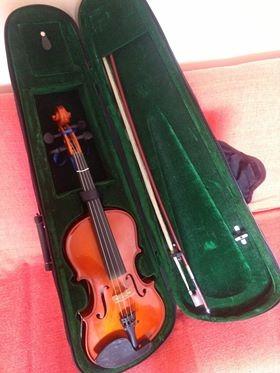 Violino Parrot 19 3/4 - Foto 2