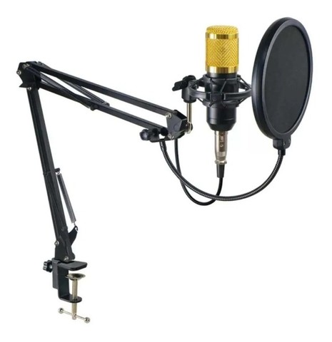 Microfone Condensador Profissional BM800 + Braço Articulado