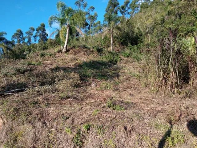Sítio 3,7 hectares, Pastagem, Roça, 2ª Linha, Divisa de São Pedro com Águas Mornas SC - Foto 13