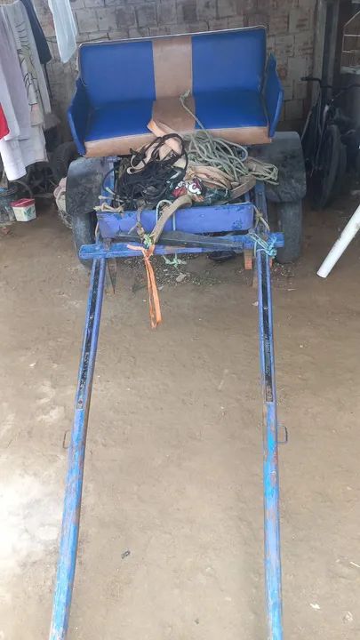 Vendo cavalo bagual de mutaria e de charrete! - Foto 5