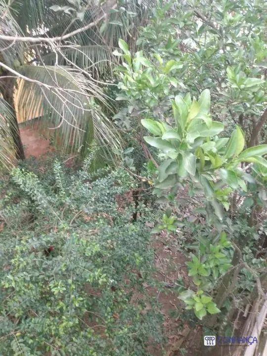 Terreno à venda, 210 m² por R$ 130.000,00 - Campo Grande - Rio de Janeiro/RJ - Foto 5