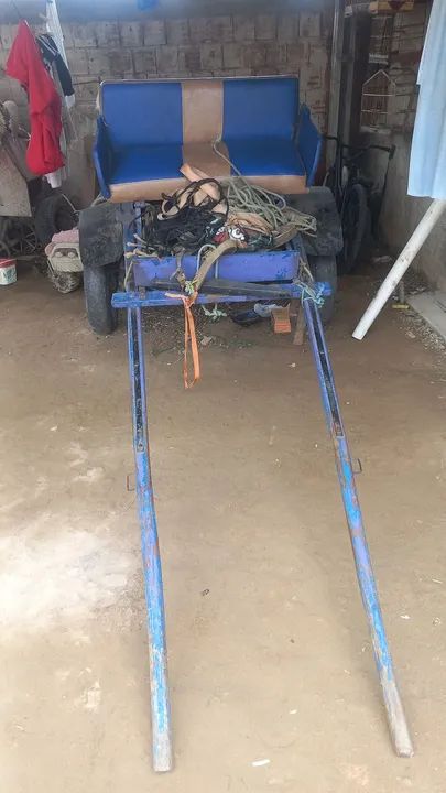 Vendo cavalo bagual de mutaria e de charrete! - Foto 6