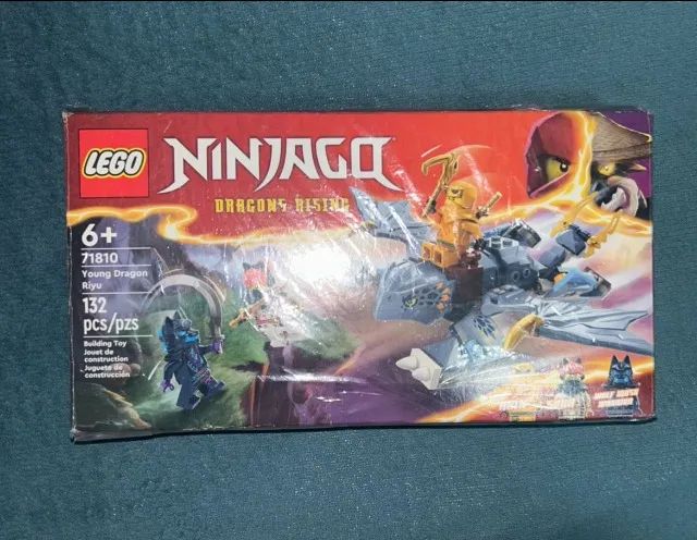 lego ninjago Jovem Dragão Riyu 71810 set 