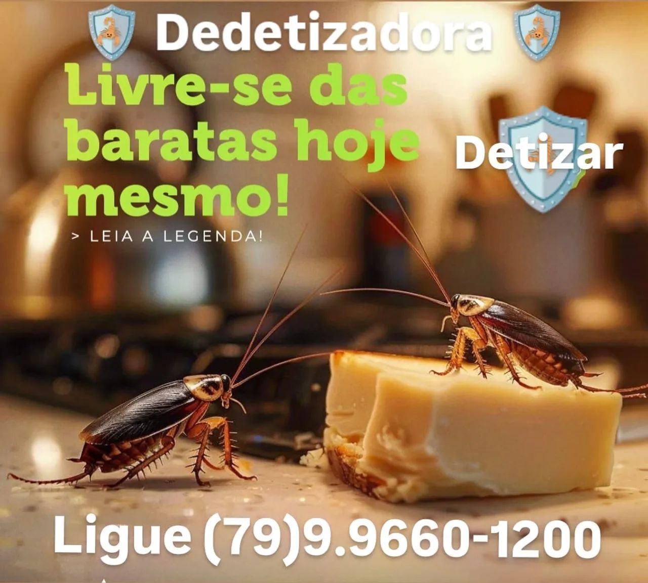 Dedetizadora - Livre-se das baratas hoje mesmo!