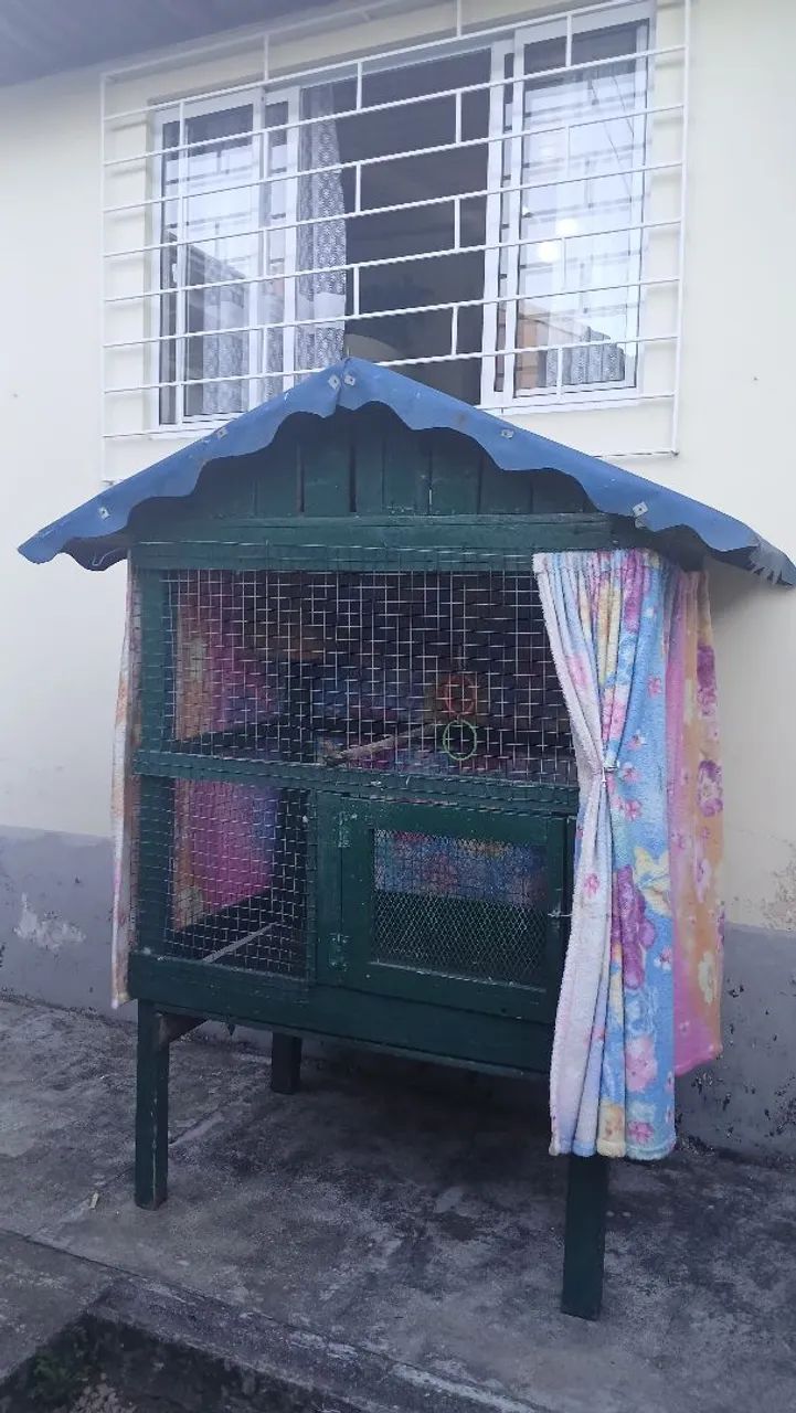 Gaiola para pássaro de madeira 