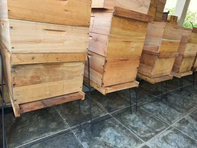 Vendo 9 caixas de apis padrão langstrot super nova com cavelete de aço , com 2 melgueiras - Foto 3