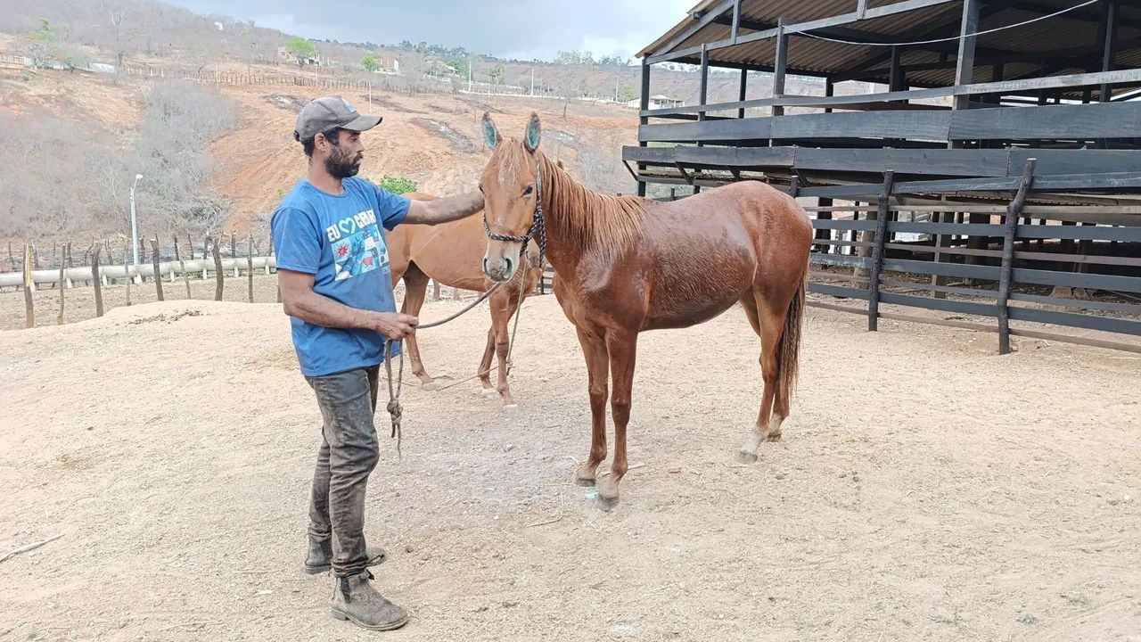 Pordo quarto de milha 12 vezes no cartão sem juros 