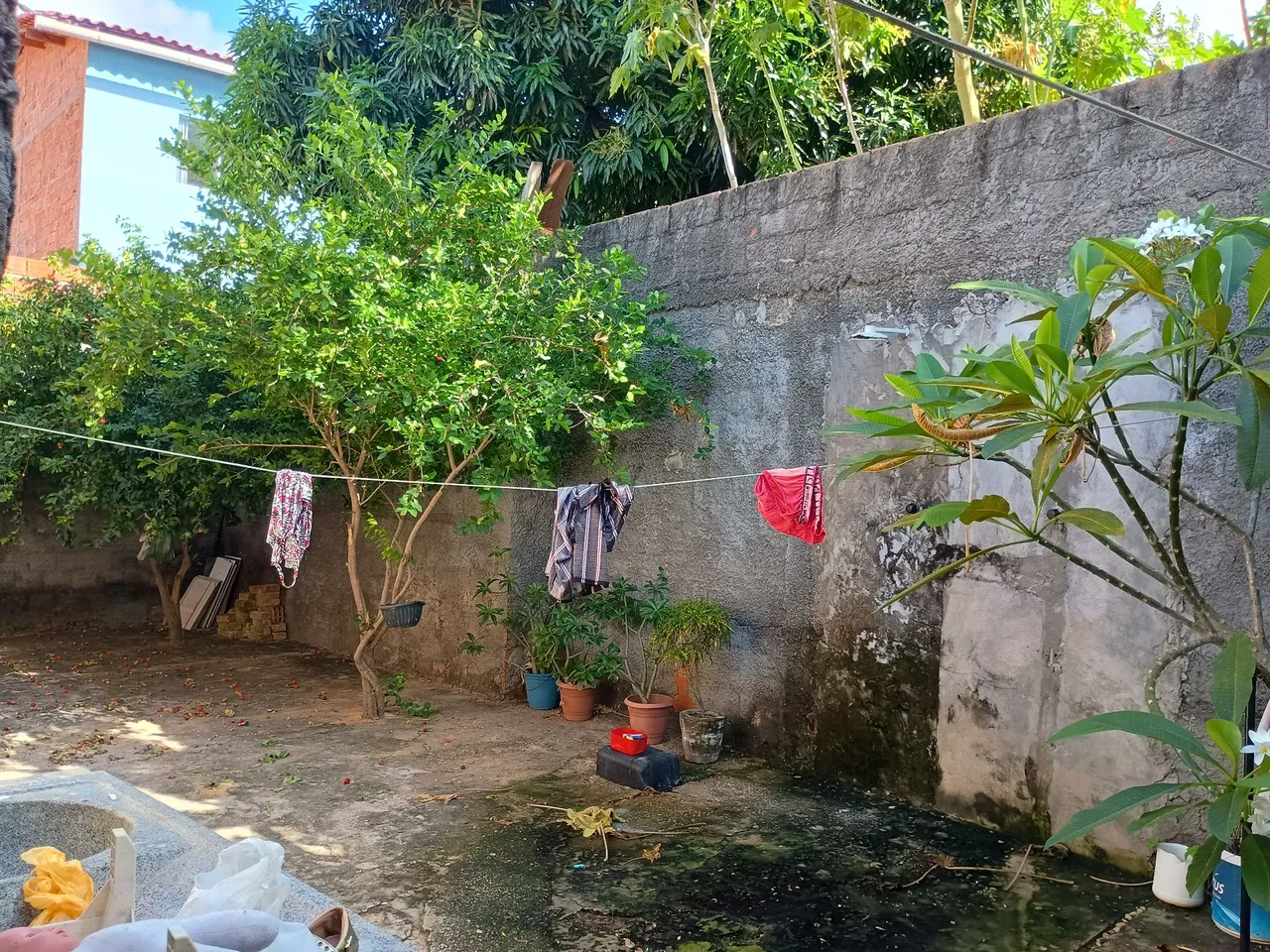 Casa no angelim