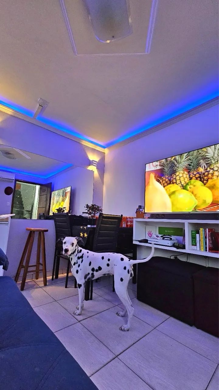 Foto - Rio de Janeiro - Maré