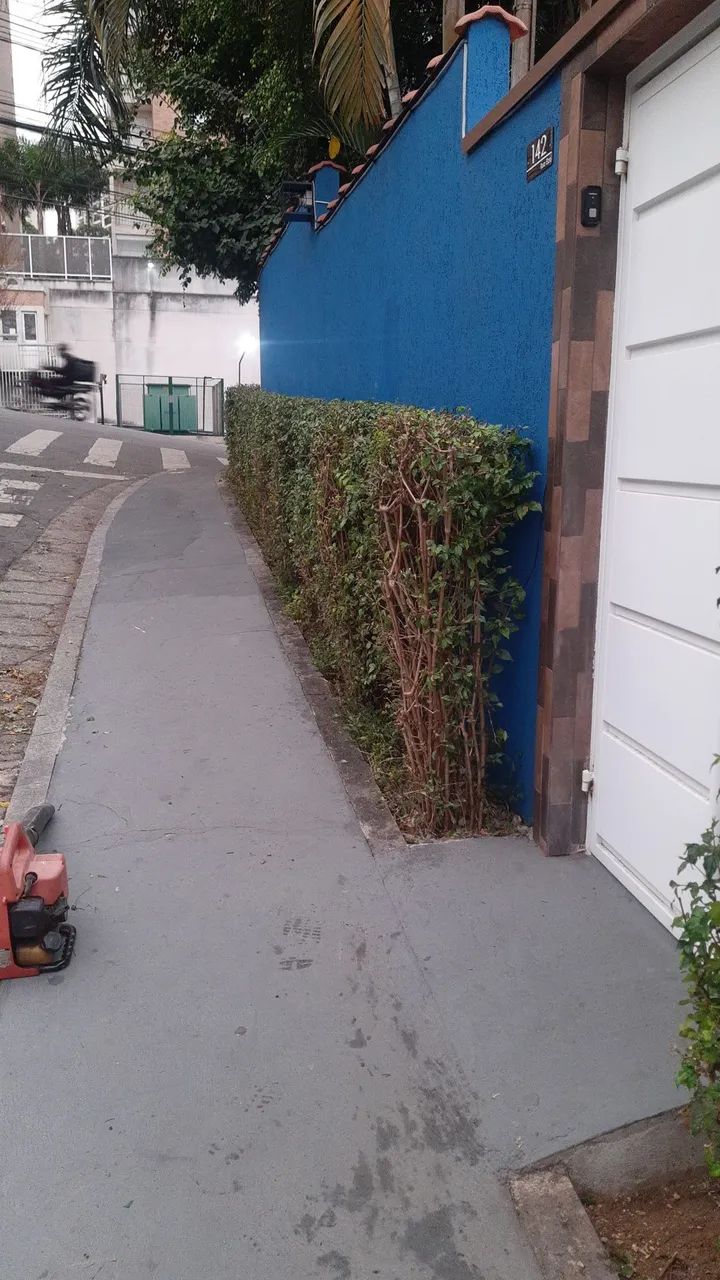 Jardineiro em Guarulhos ( Residência / Comércio / Empresa ) - Foto 5