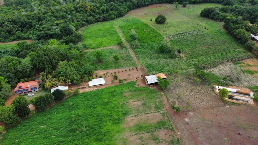 Vendo Fazendinha de 5 alqueires proxima a Palmas  - Foto 2