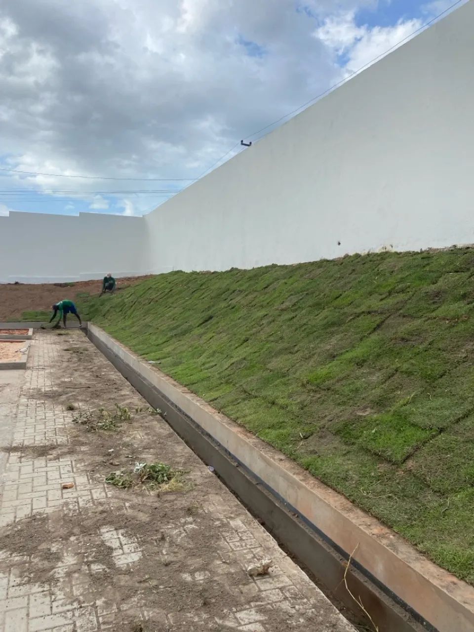 Grama Esmeralda e Serviços  - Foto 4