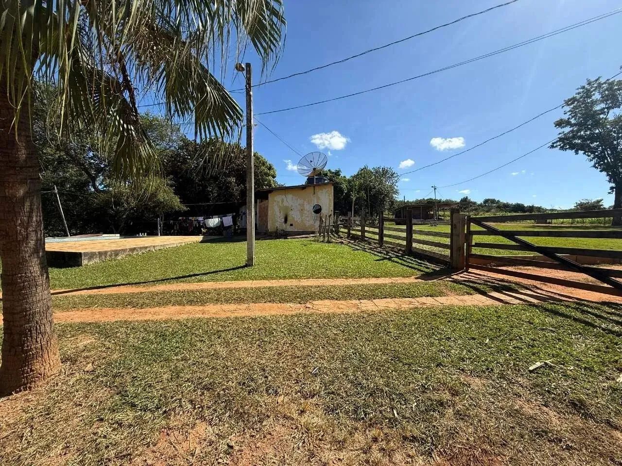 Fazenda com 2,8km de Riberão Maquine - Foto 4