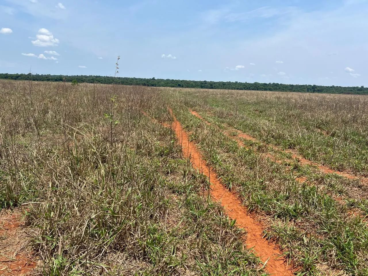Fazenda arrendamento 925hec em pasto, na região dos baianos MT.  - Foto 2