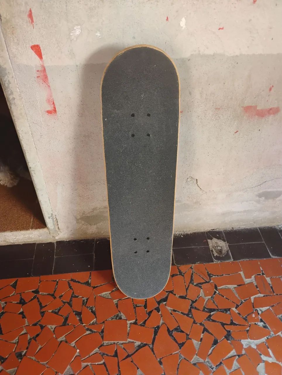 Skate Completo