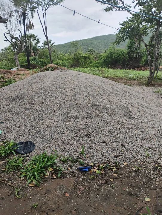 12 tonelada de pó de pedra branco 