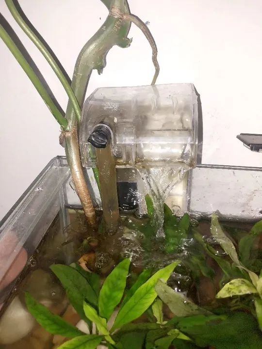 Filtro de aquário hang on