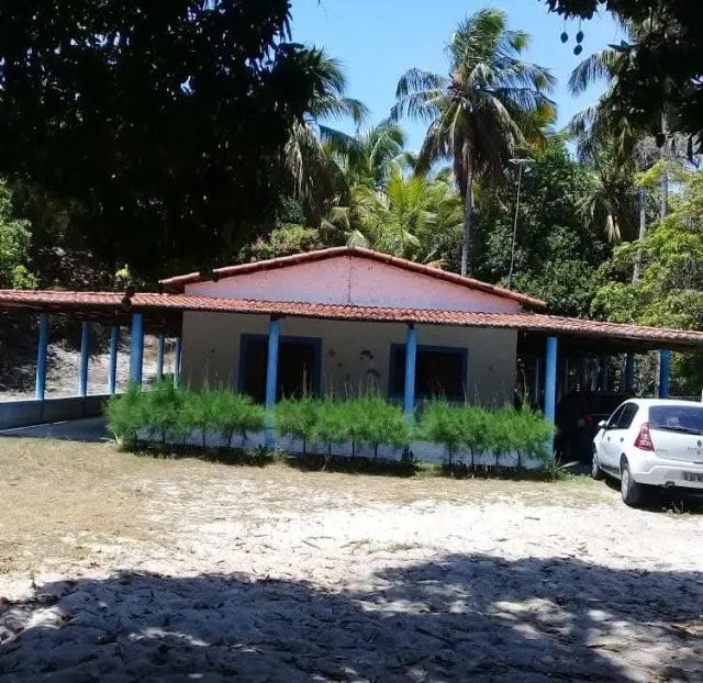 Foto - Nísia Floresta - 