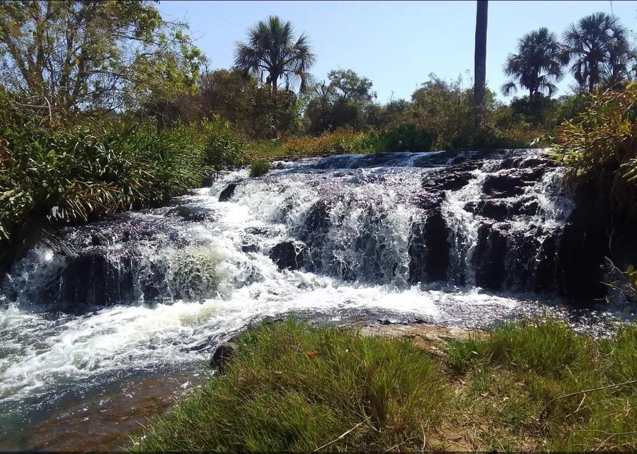 Fazenda com cana próximo Uberlândia  - Foto 3