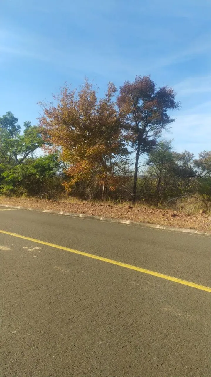 Fazenda Piauí Eliseu Martins