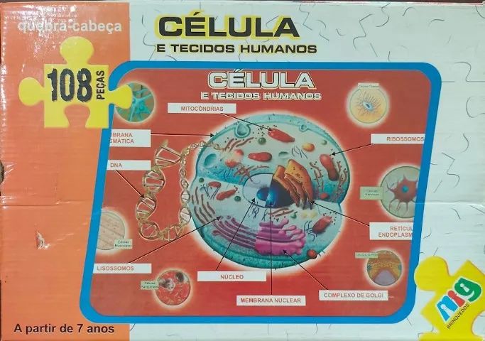 Quebra Cabeça Célula e Tecidos Humanos - Foto 3