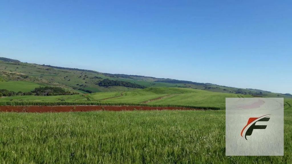 Fazenda à venda, 2988700 m² por R$ 37.000.000,00 - Rural - Faxinal/PR - Foto 5