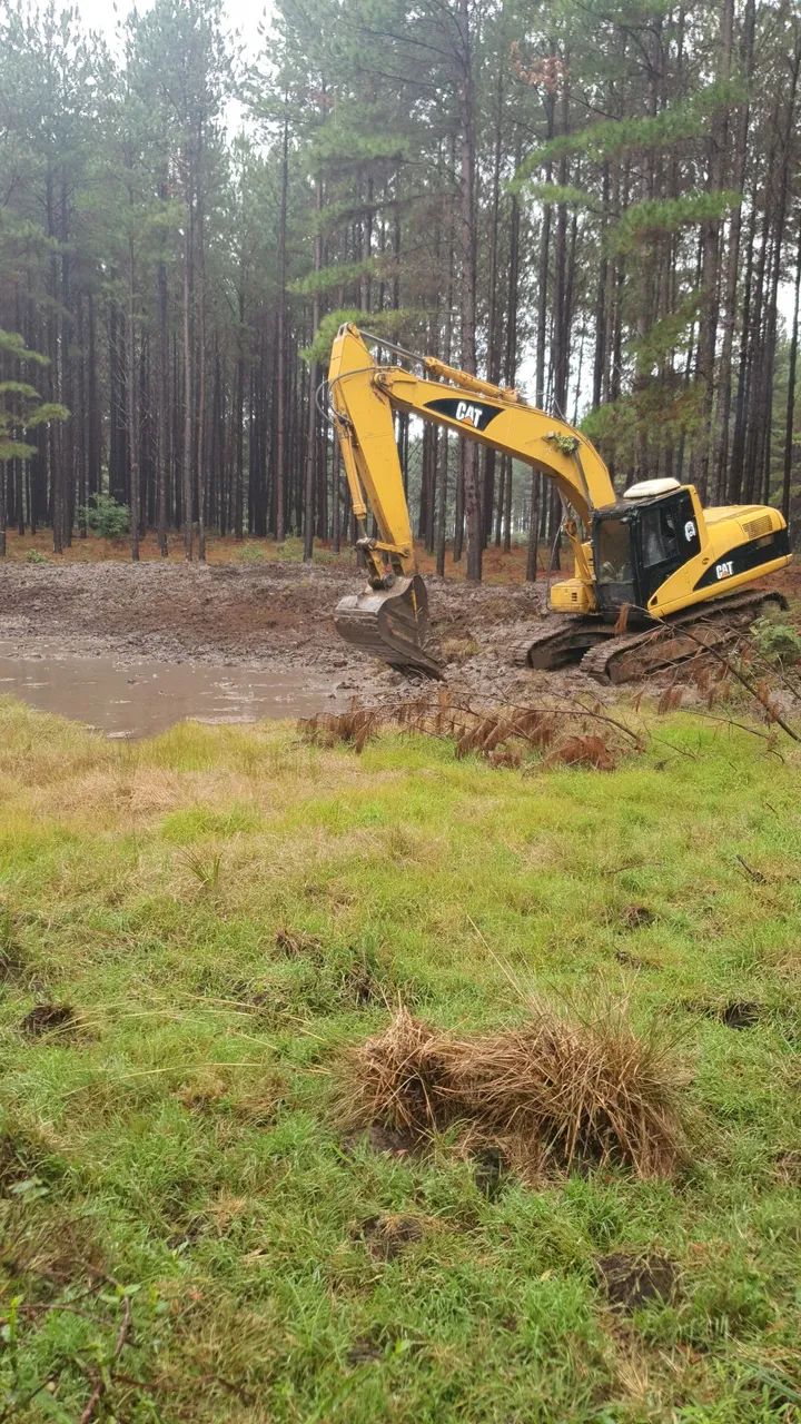 cat 320  - Foto 3