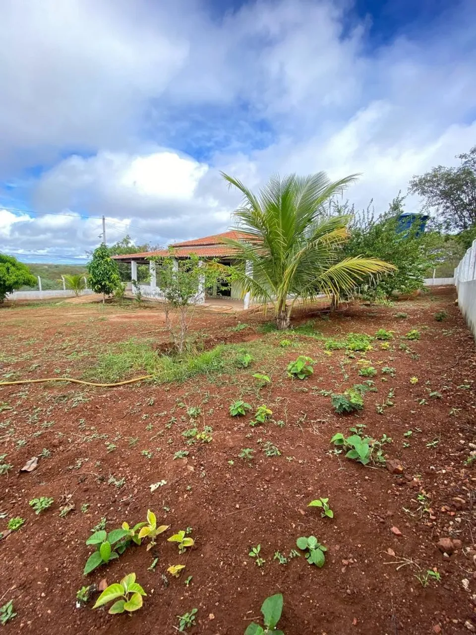 Chacara de herança