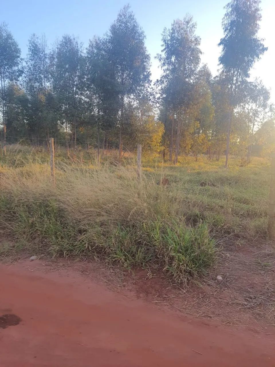 Vendo chácara 20.000 metros  - Foto 2