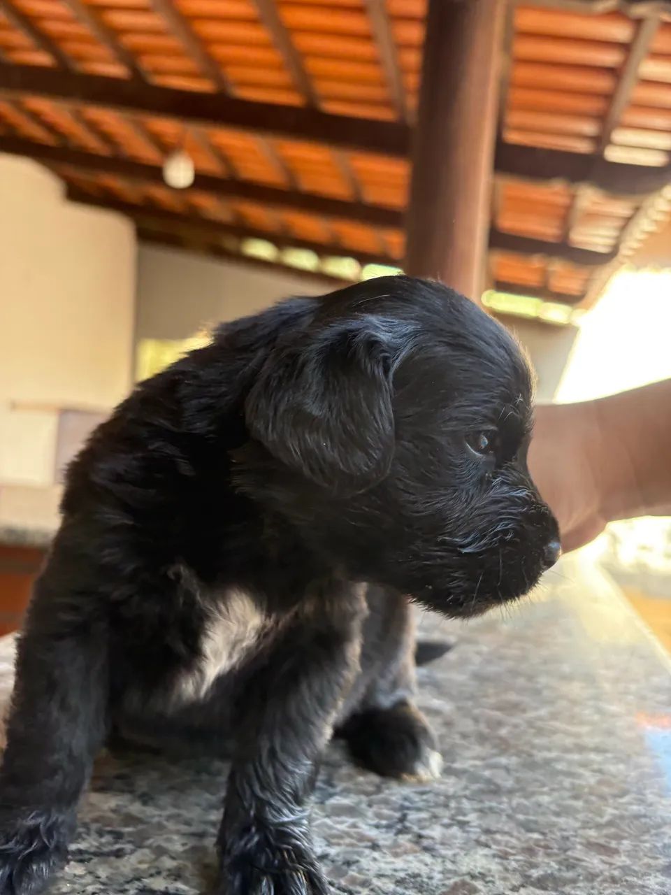 Doação 