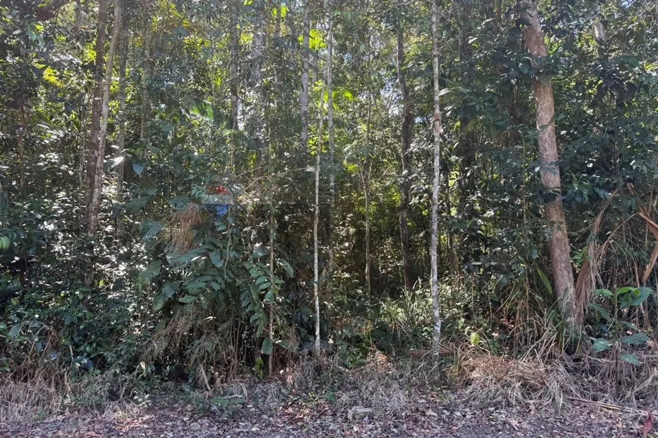 Terreno em Arraial D'Ajuda: Pronto para Construir! - Foto 4