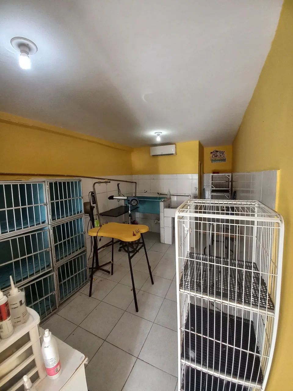 Repasso Pet Shop no bairro do Bessa  - Foto 5