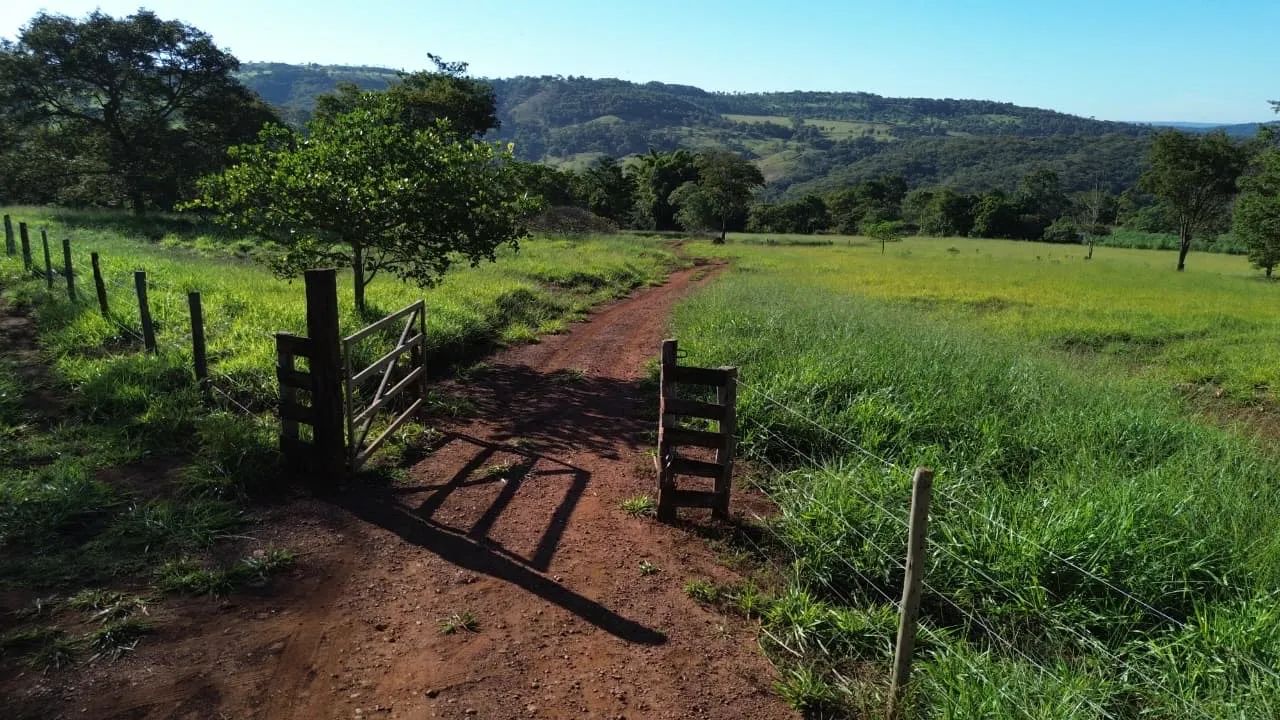 Sítio próximo Araguari 20 hectares  - Foto 3