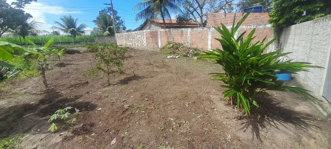 Lote a venda 11 X 25 - Foto 4