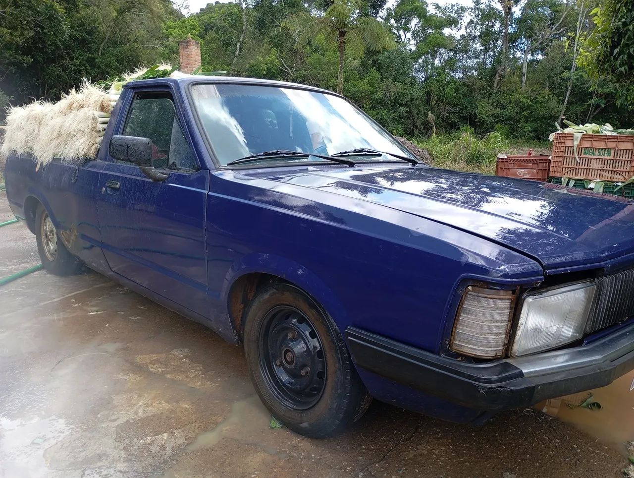 Ford Pampa 1996