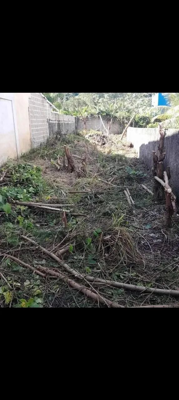 LOTE MURADO  - Foto 2