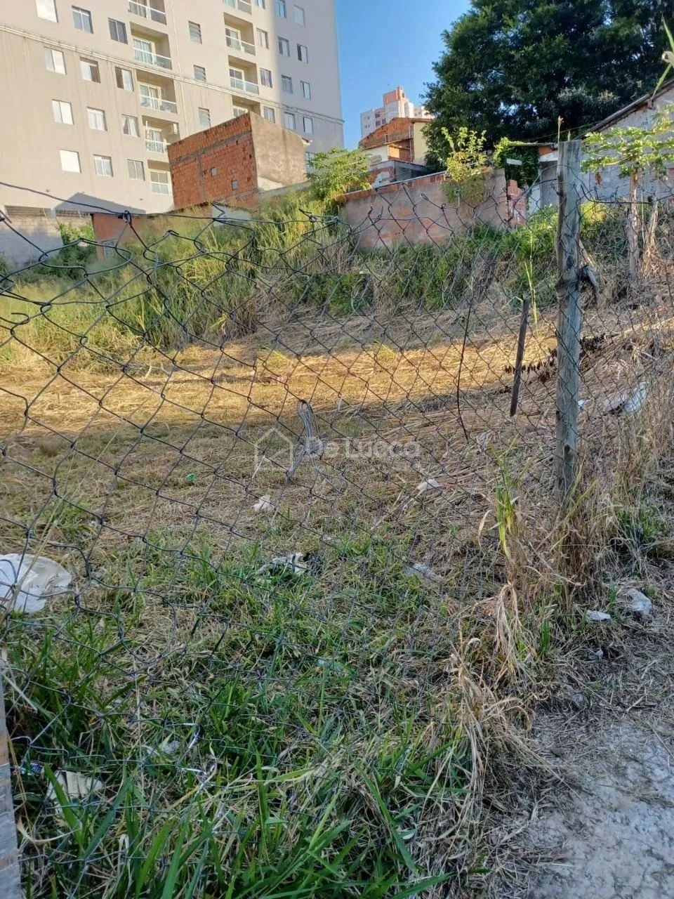terreno - Ponte Preta - Campinas - Foto 3